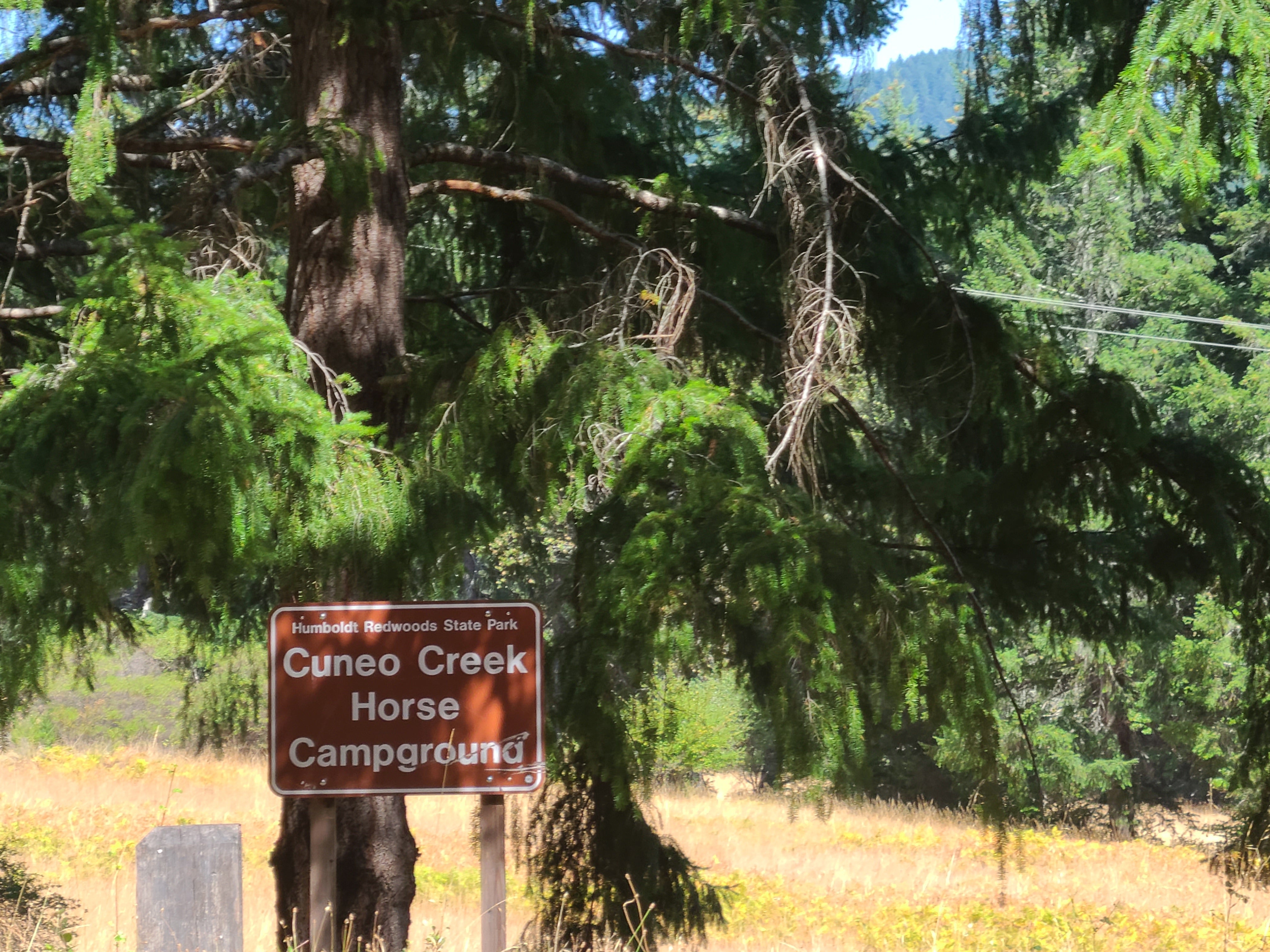 Camper submitted image from Cuneo Creek Horse Camp — Humboldt Redwoods State Park - 1