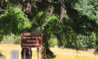Camping near Van Duzen County Park - Pamplin Grove: Cuneo Creek Horse Camp — Humboldt Redwoods State Park, Weott, California
