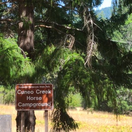 Cuneo Creek Horse Camp — Humboldt Redwoods State Park