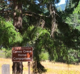Camper-submitted photo from Cuneo Creek Horse Camp — Humboldt Redwoods State Park