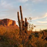 Review photo of Lost Dutchman State Park Campground by Mindy H., September 2, 2020