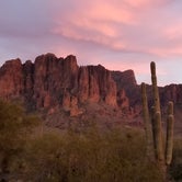 Review photo of Lost Dutchman State Park Campground by Mindy H., September 2, 2020