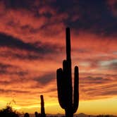 Review photo of Lost Dutchman State Park Campground by Mindy H., September 2, 2020