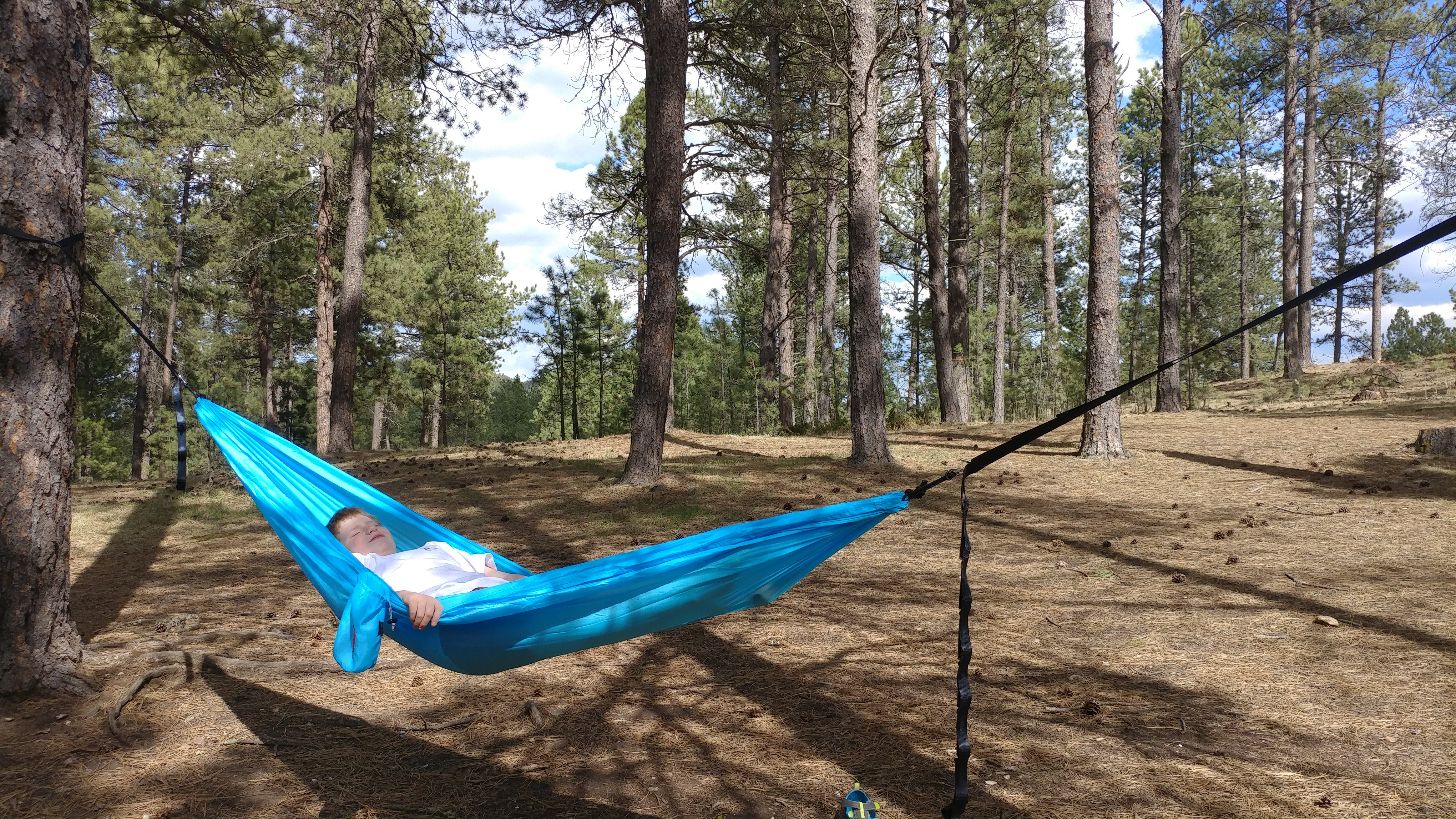Plenty of space to hang your hammock!