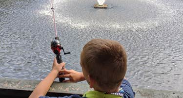 Wading Pines Camping Resort