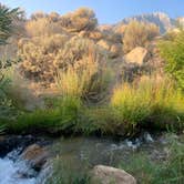 Review photo of Tuttle Creek Campground — Alabama Hills by Liz , September 2, 2020