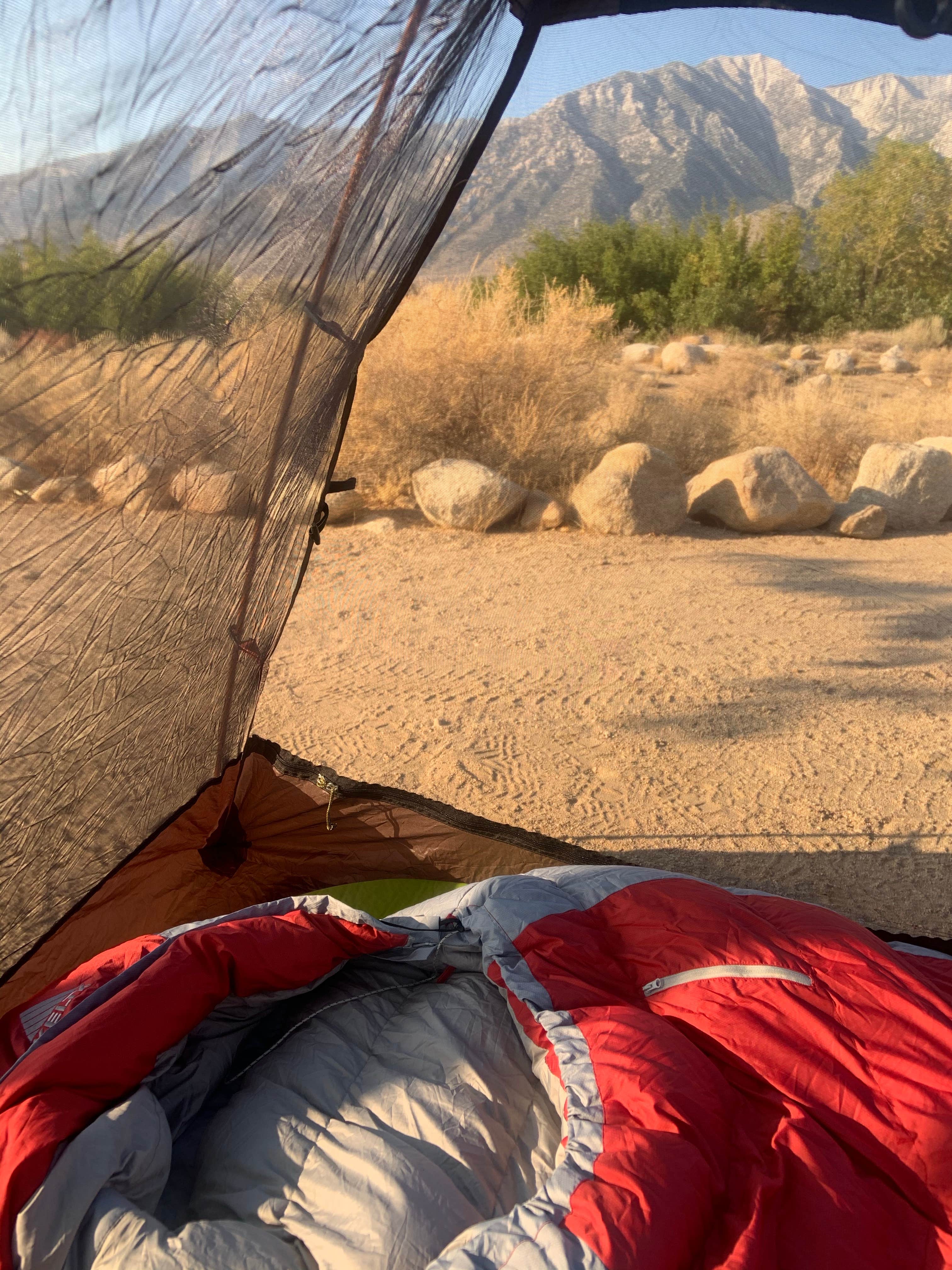 Liz's photo at Tuttle Creek Campground — Alabama Hills near Darwin, CA