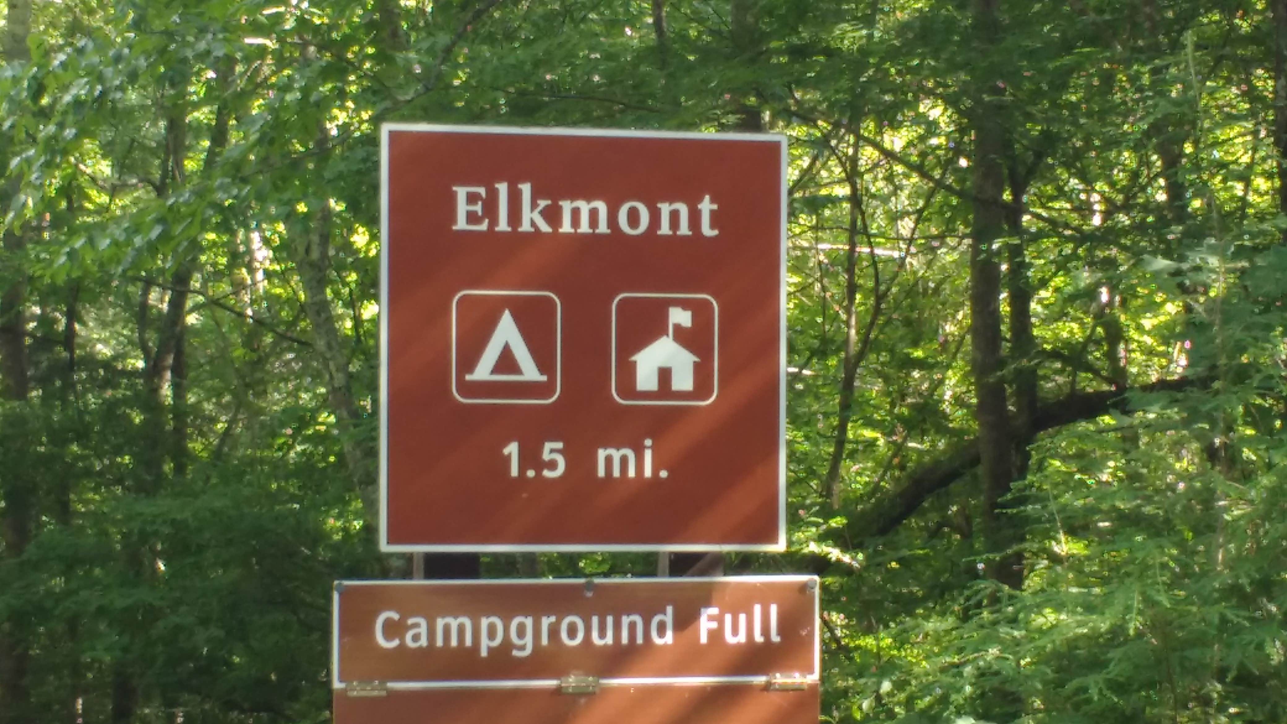 Camper submitted image from Elkmont Campground — Great Smoky Mountains National Park - 5