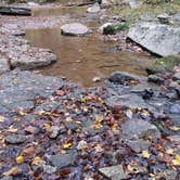 Review photo of Mccormick's Creek State Park Campground by Falen P., May 13, 2018