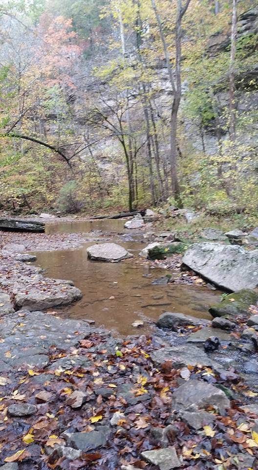 Camper submitted image from Mccormick's Creek State Park Campground - 4