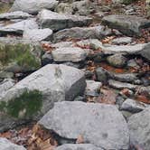 Review photo of Mccormick's Creek State Park Campground by Falen P., May 13, 2018