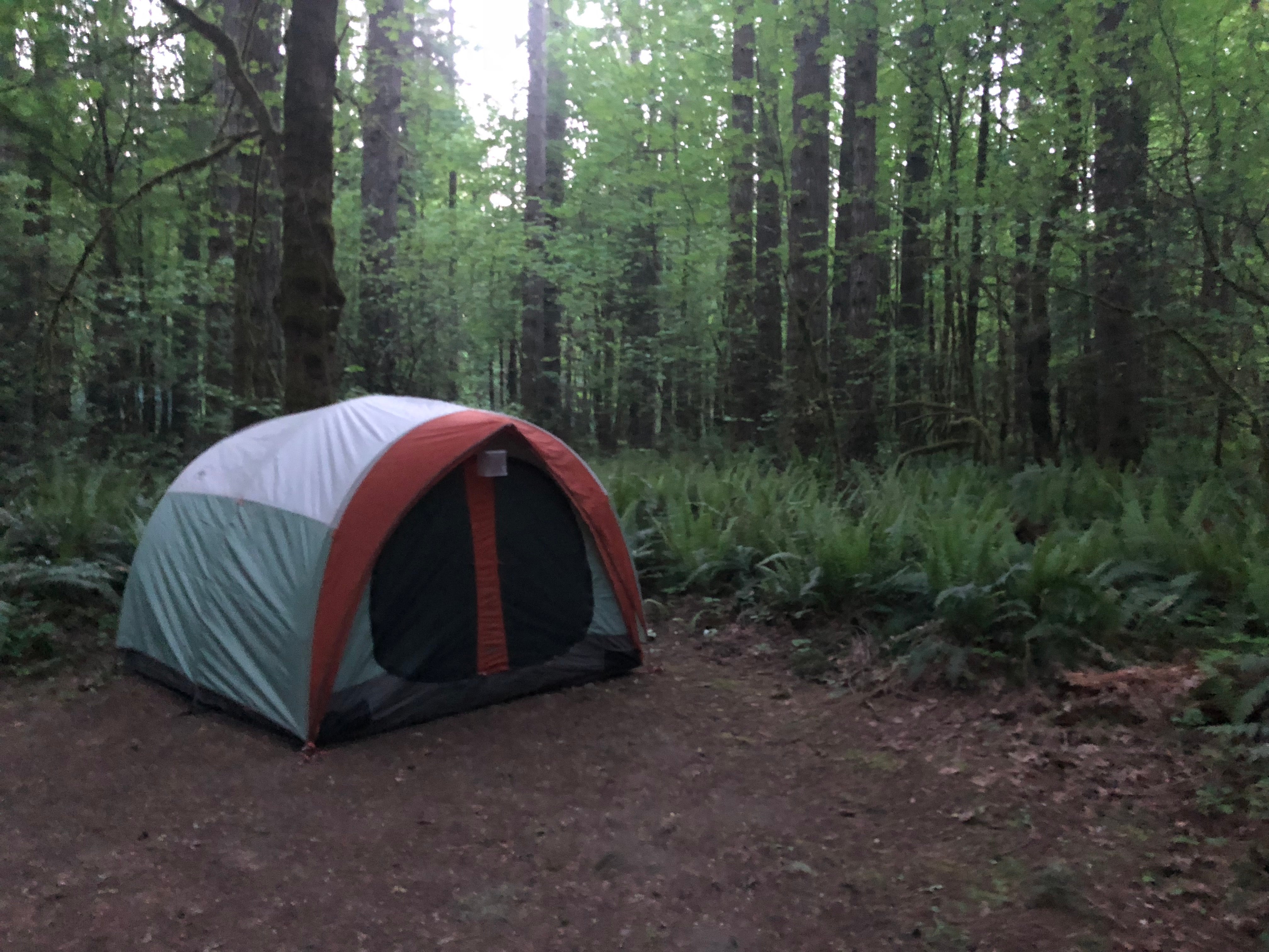 Camper submitted image from Seaquest State Park Campground - 5