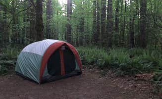 Tom K.'s photo at Seaquest State Park Campground near Kalama, WA