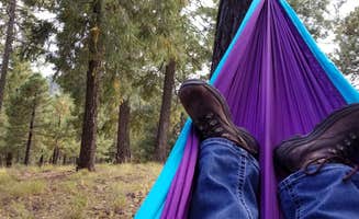 Mindy H.'s photo of tent camping at Bear Wallow Campground (historical) near San Manuel, AZ
