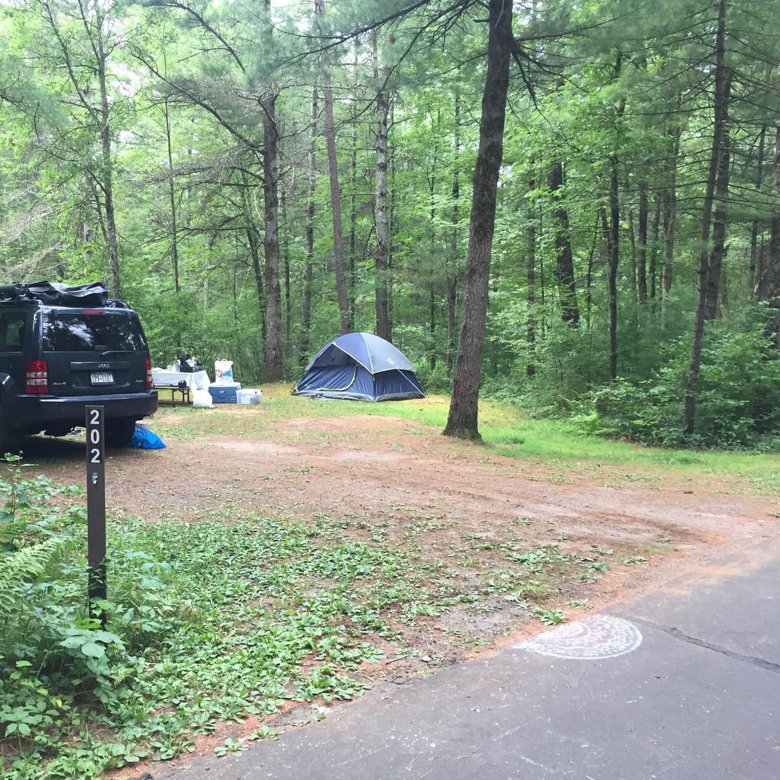 Pigeon Creek Campground — Black River State Forest Warrens, WI