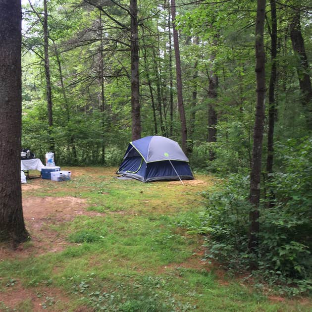 Pigeon Creek Campground — Black River State Forest Warrens, WI