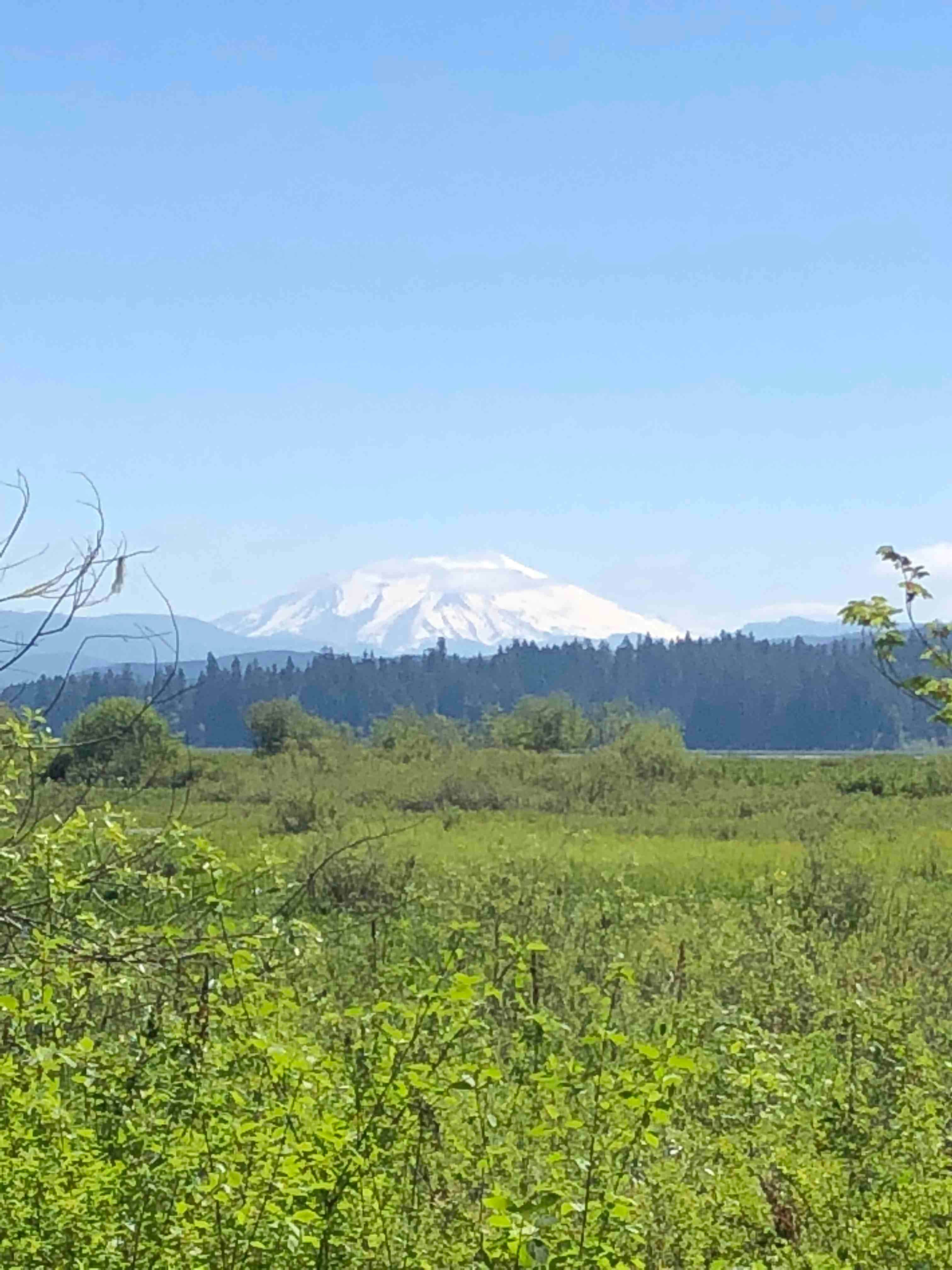 Camper-submitted photo at Seaquest State Park Campground near Woodland, WA