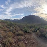 Review photo of Tuttle Creek Campground — Alabama Hills by Liz , September 2, 2020