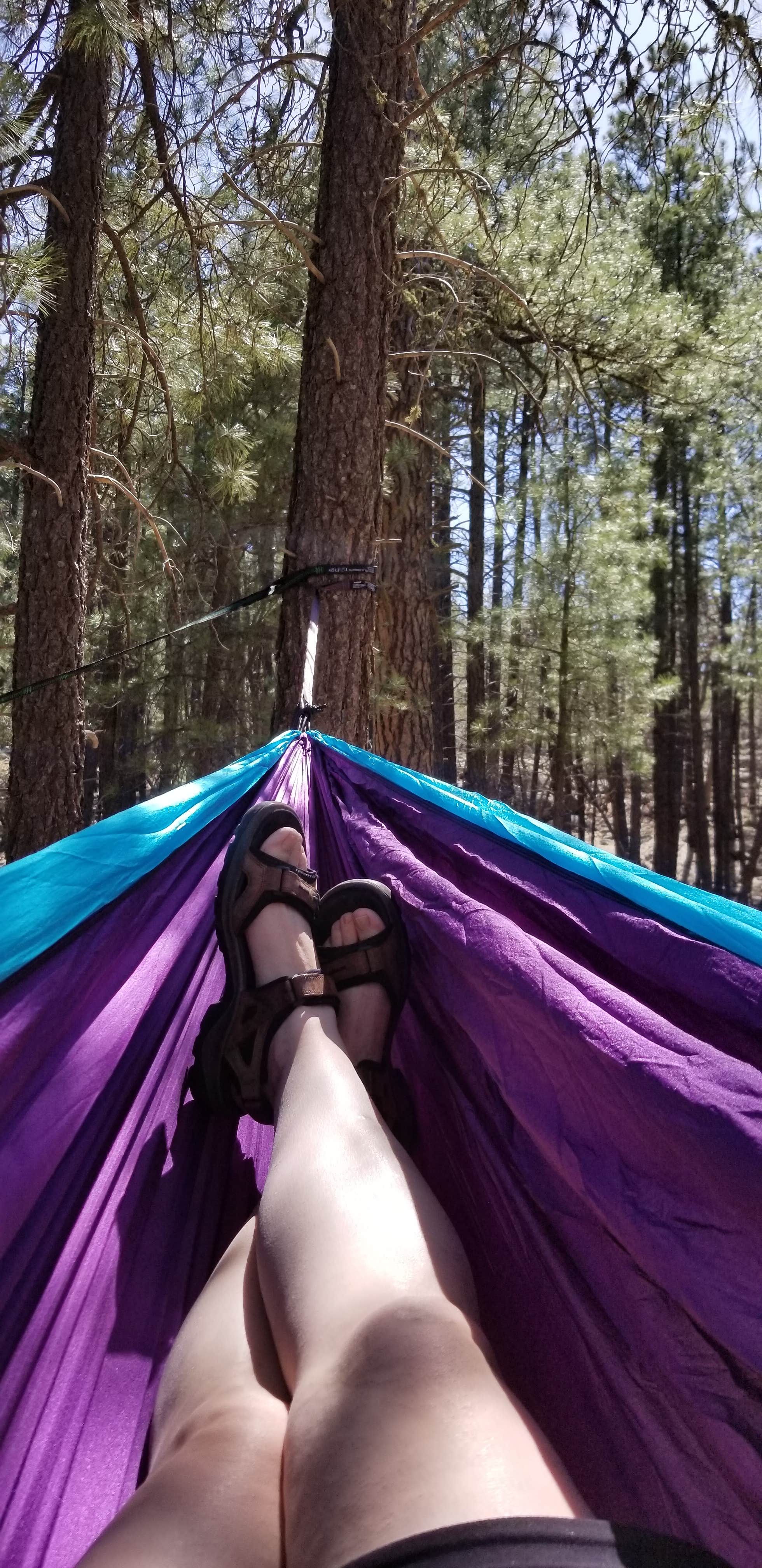 Mindy H.'s photo of a dispersed camping area at Schnebly Hill Rd, Fox Borough Dam near Happy Jack, AZ