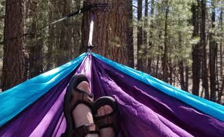 Mindy H.'s photo of a dispersed camping area at Schnebly Hill Rd, Fox Borough Dam near Coconino National Forest