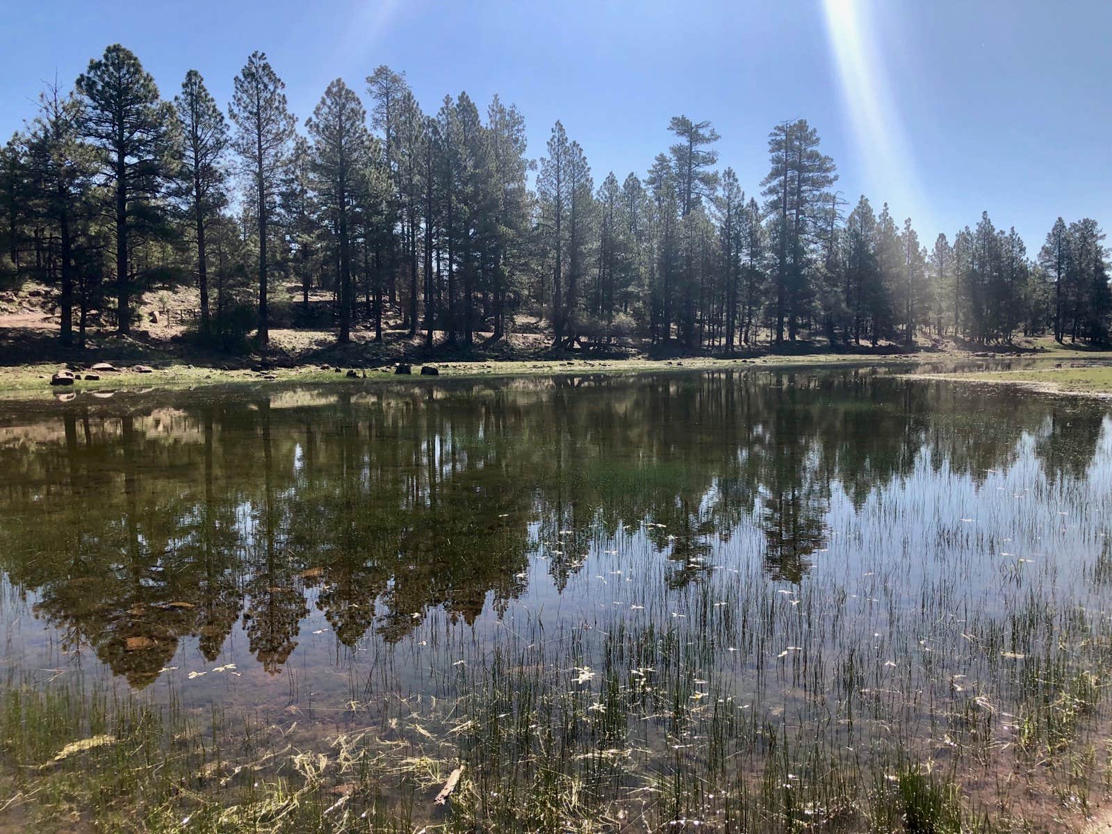 Camper-submitted photo at Schnebly Hill Rd, Fox Borough Dam near Mormon Lake, AZ