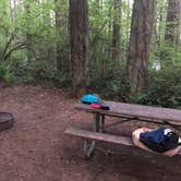 Review photo of Seaquest State Park Campground by Tom K., May 13, 2018