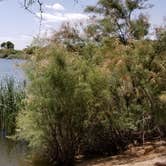 Review photo of Cottonwood Campground — Roper Lake State Park by Mindy H., September 2, 2020