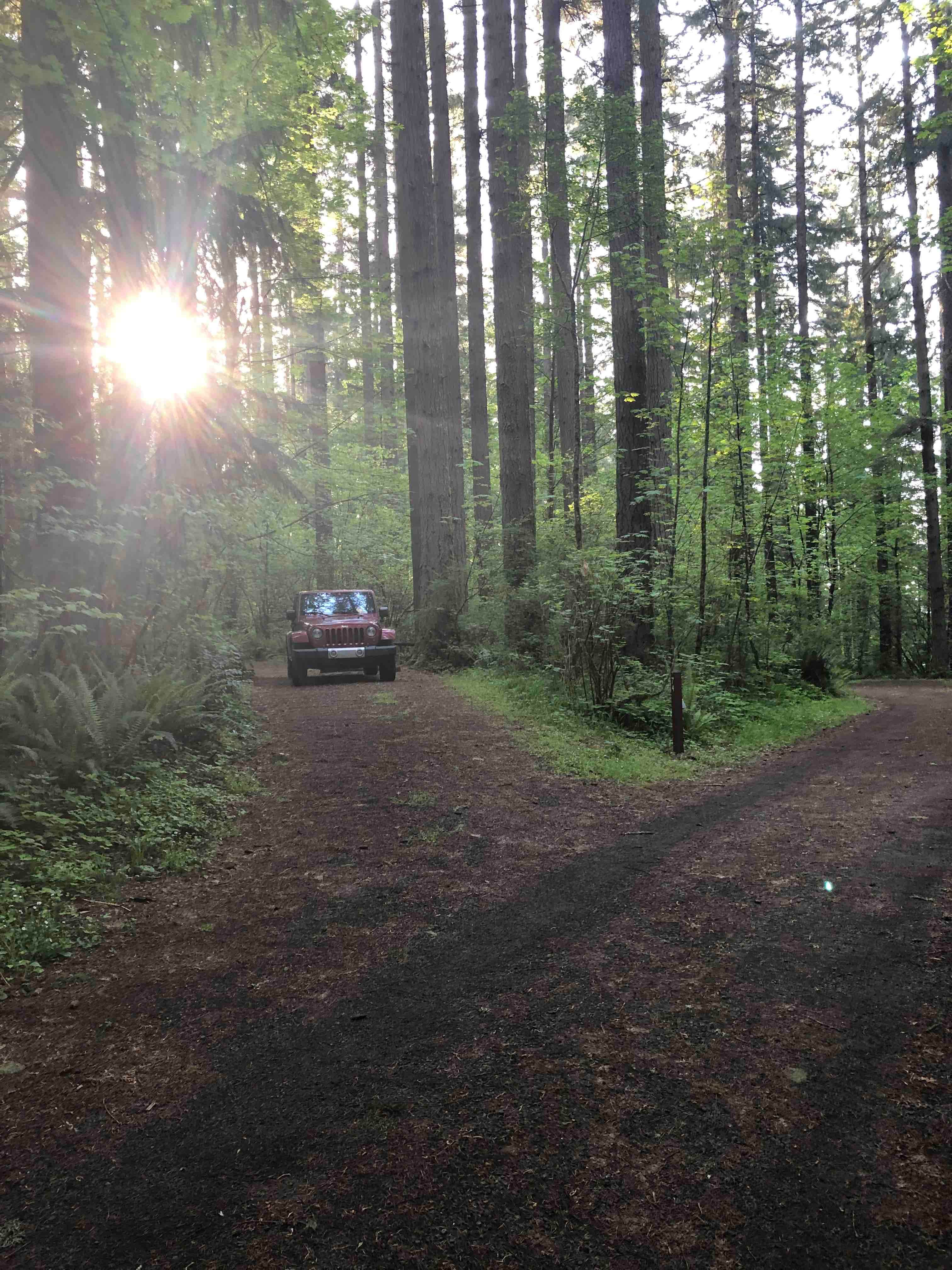 Camper submitted image from Seaquest State Park Campground - 4