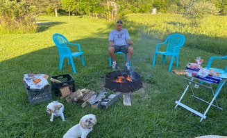 Debra B.'s photo of camping with pets at Maumee Bay State Park Campground near New Boston, MI
