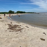 Review photo of Maumee Bay State Park Campground by Debra B., September 2, 2020