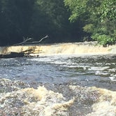 Review photo of Lower Falls Campground — Tahquamenon Falls State Park by debra S., September 3, 2020