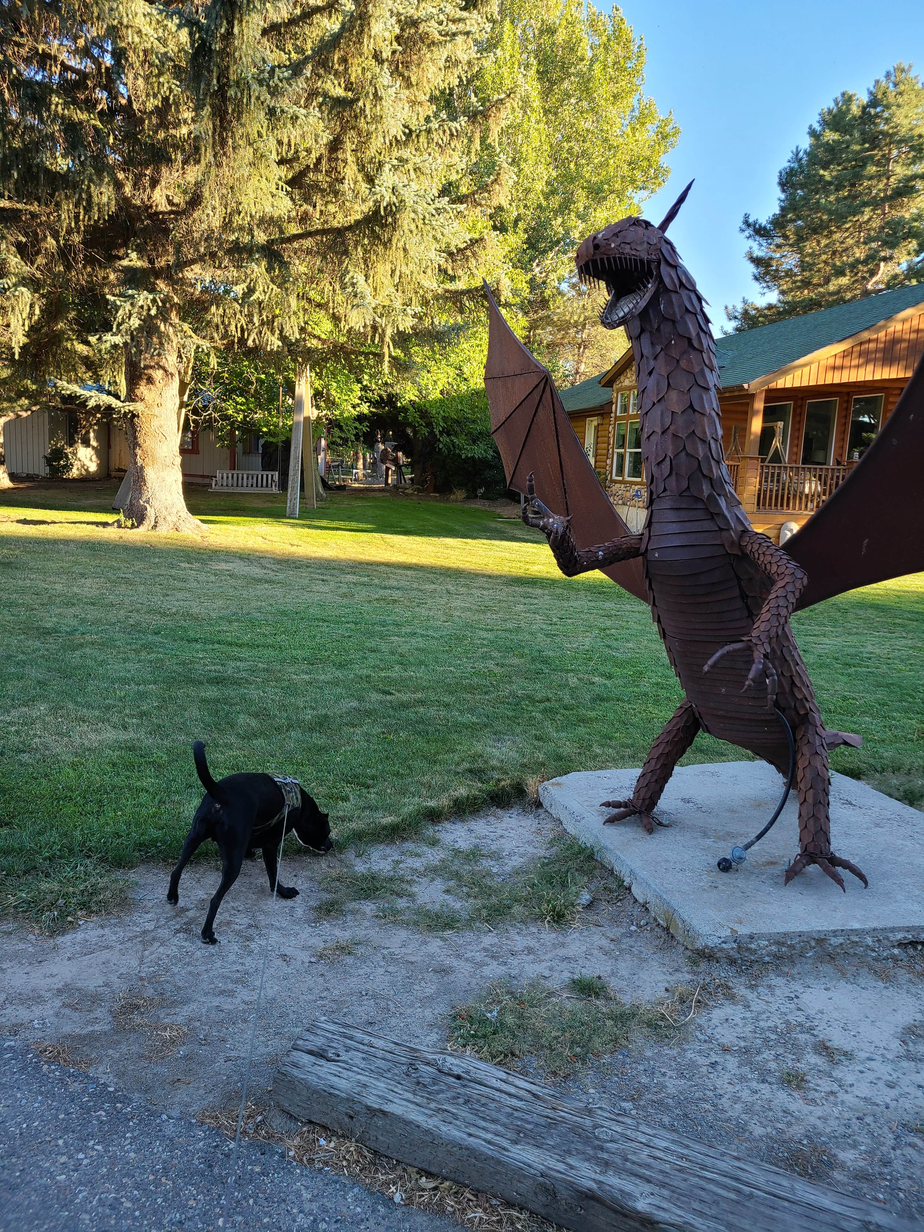 Camper-submitted photo at Village of Trees RV Resort near Oakley, ID