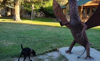 Bonnie A.'s photo of camping with pets at Village of Trees RV Resort near Burley, ID