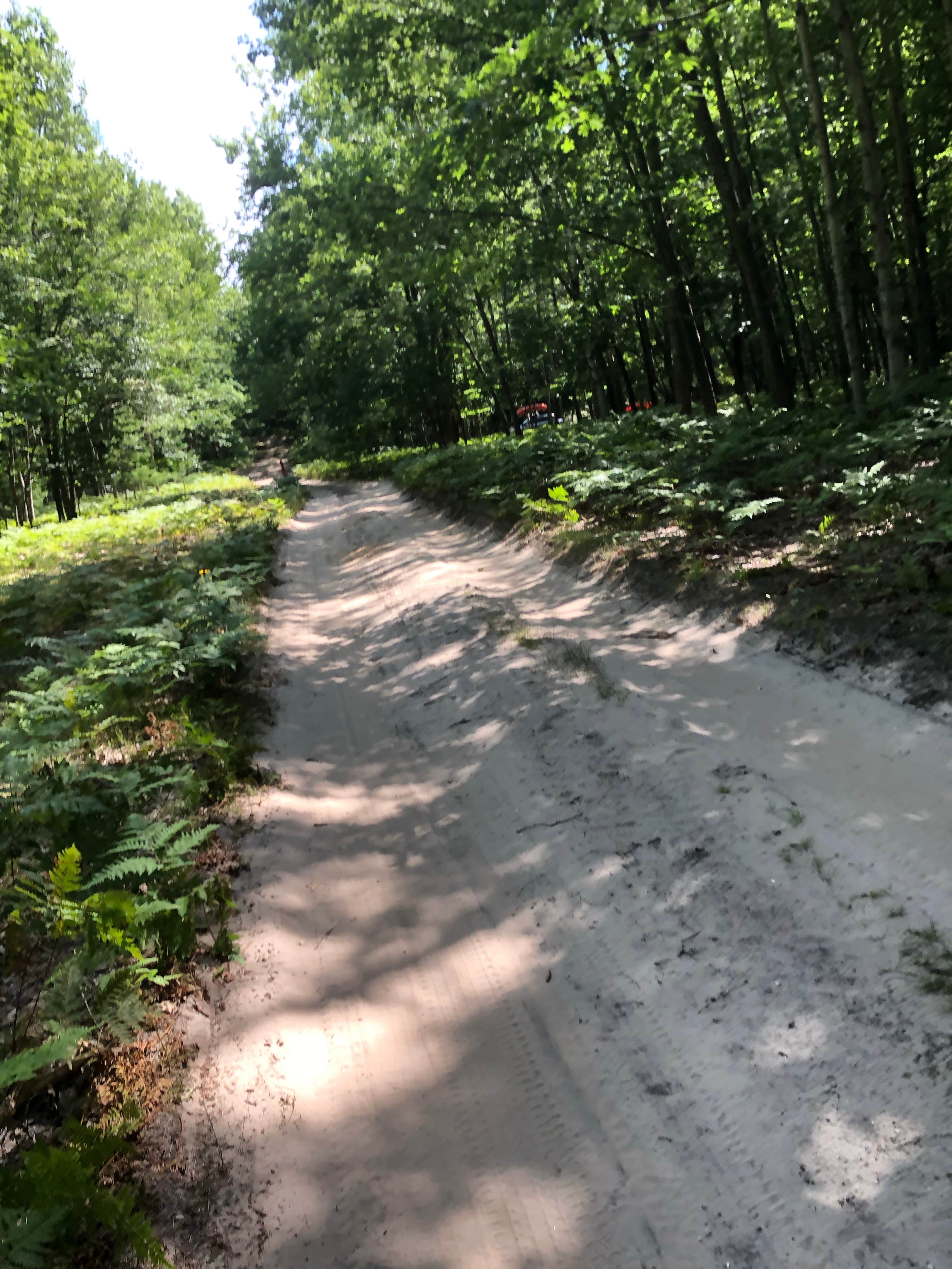 Nordhouse Dunes Wilderness - Green Road