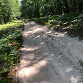 Review photo of Nordhouse Dunes Wilderness - Green Road by Deanna A., September 3, 2020