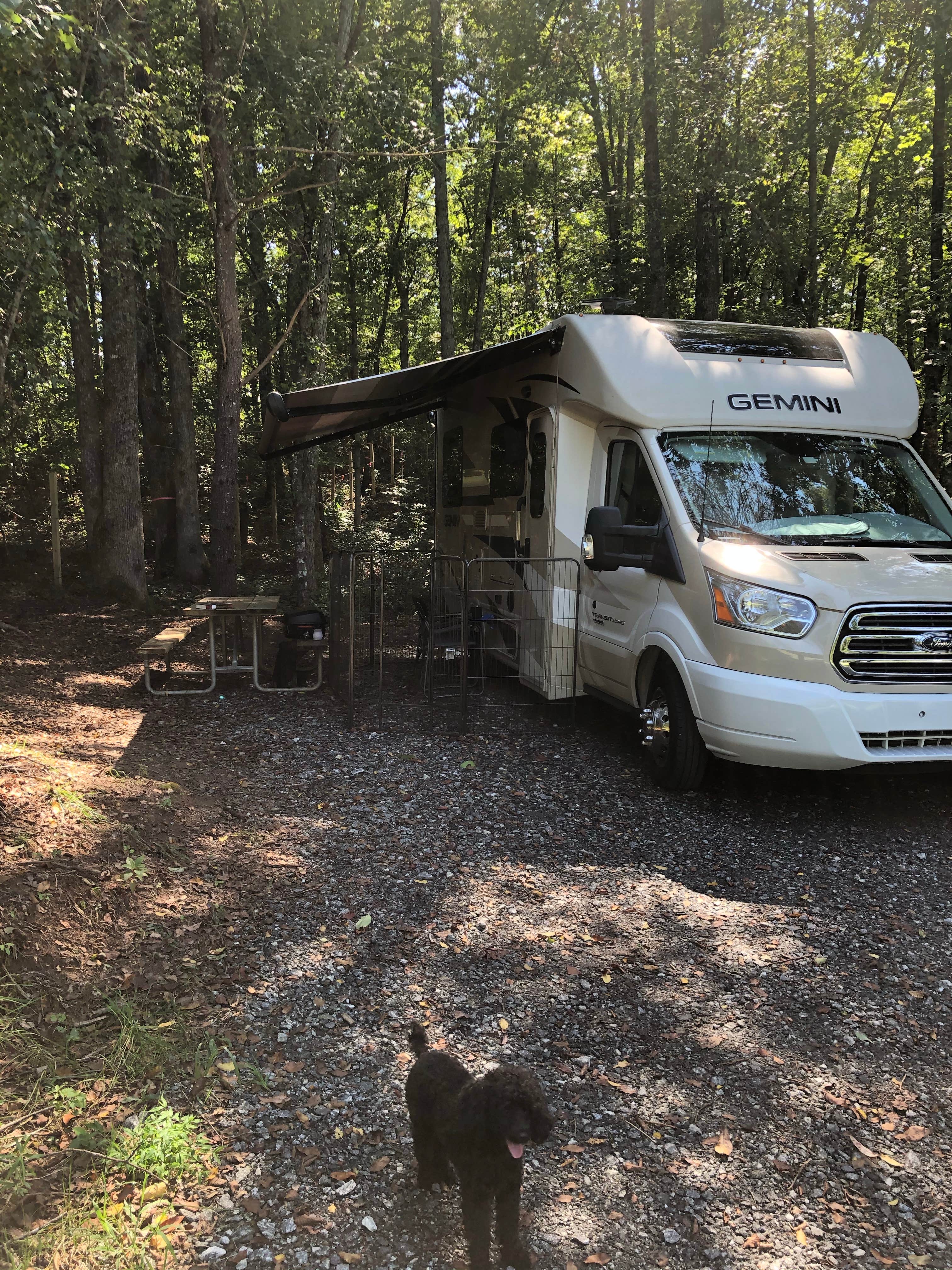Camper submitted image from Emberglow Outdoor Resort - 3