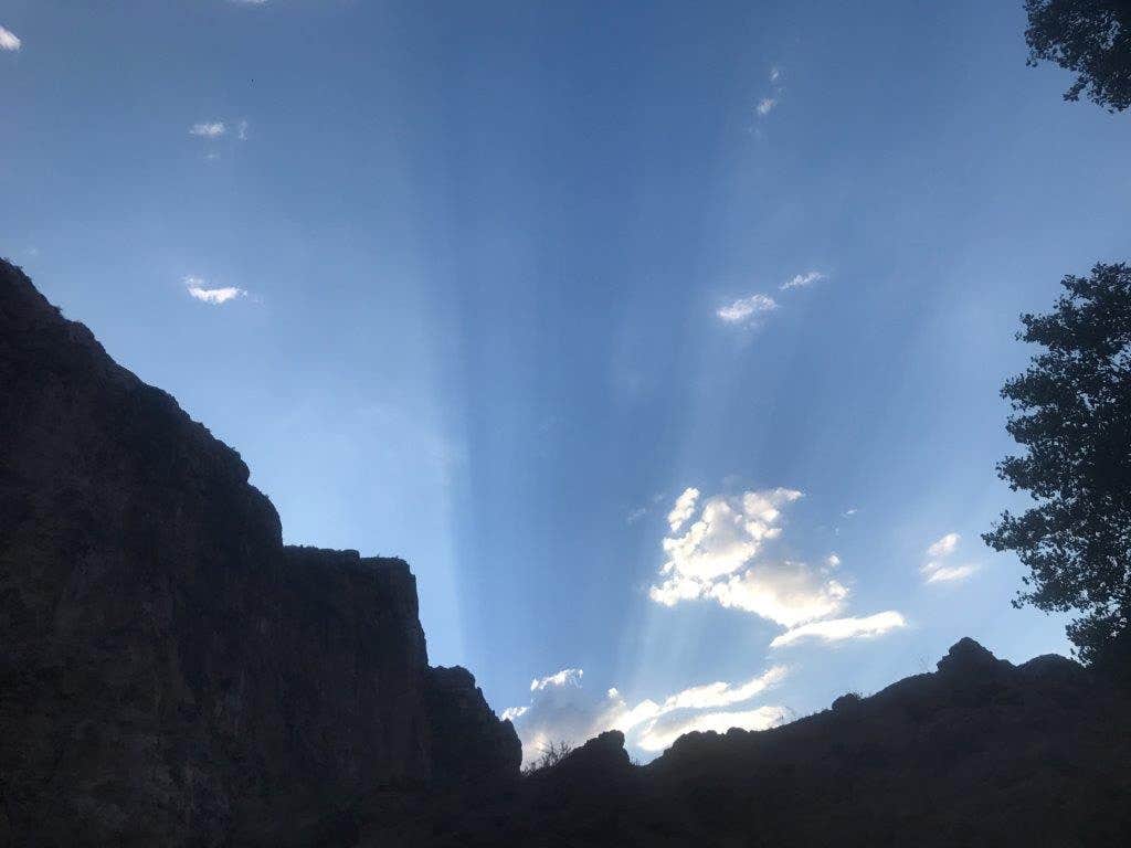 View All
