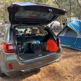 Review photo of Adventure Bound Camping Resorts Cape Cod: North Truro by Omar , September 3, 2020