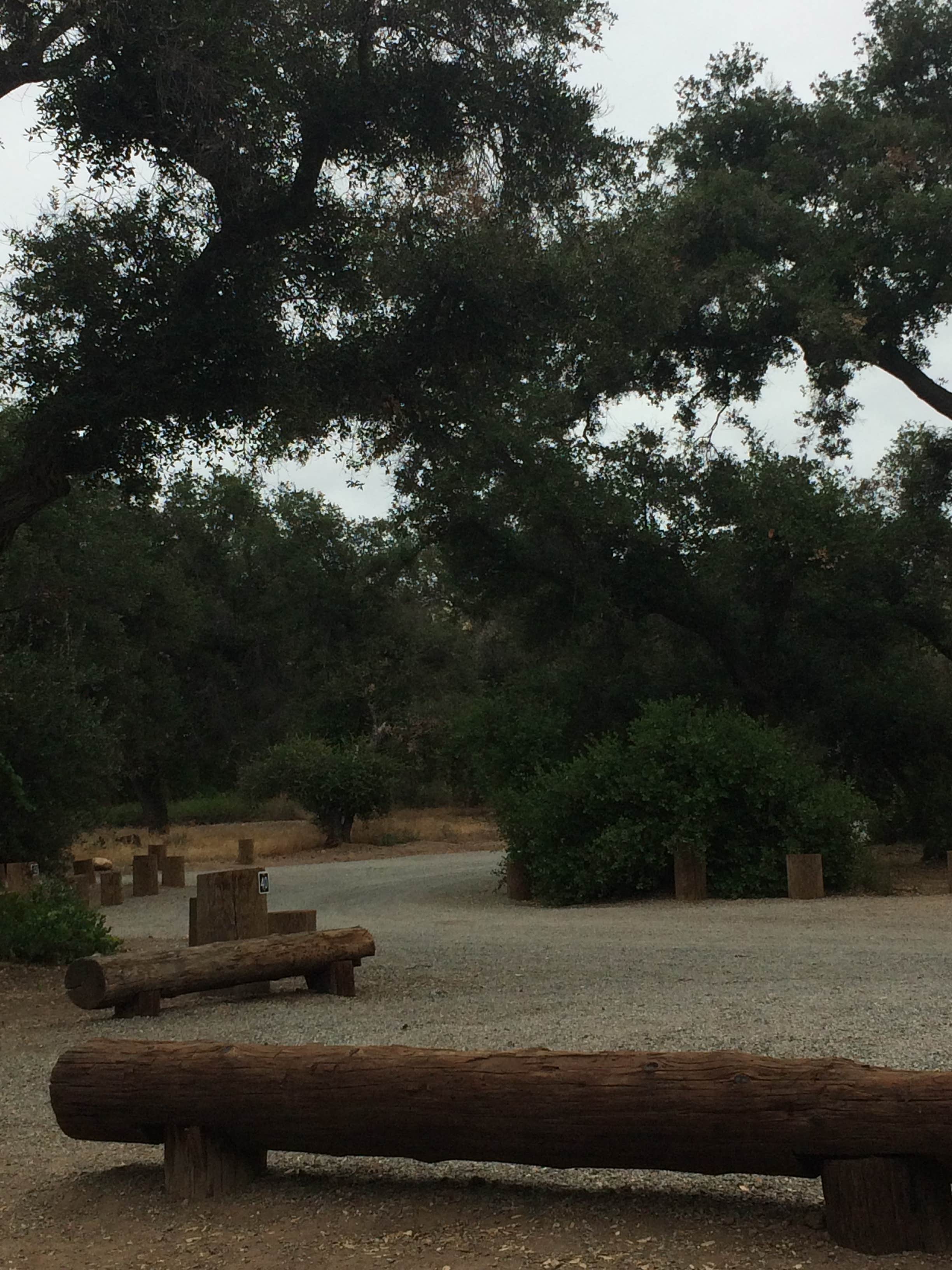 Camper-submitted photo at Ronald W. Caspers Wilderness Park near Perris, CA