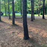 Review photo of Smooth Rapids Campground by Nate H., September 3, 2020