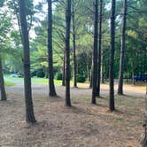 Review photo of Smooth Rapids Campground by Nate H., September 3, 2020