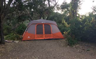 Deb S.'s photo at Ronald W. Caspers Wilderness Park near Aliso Viejo, CA