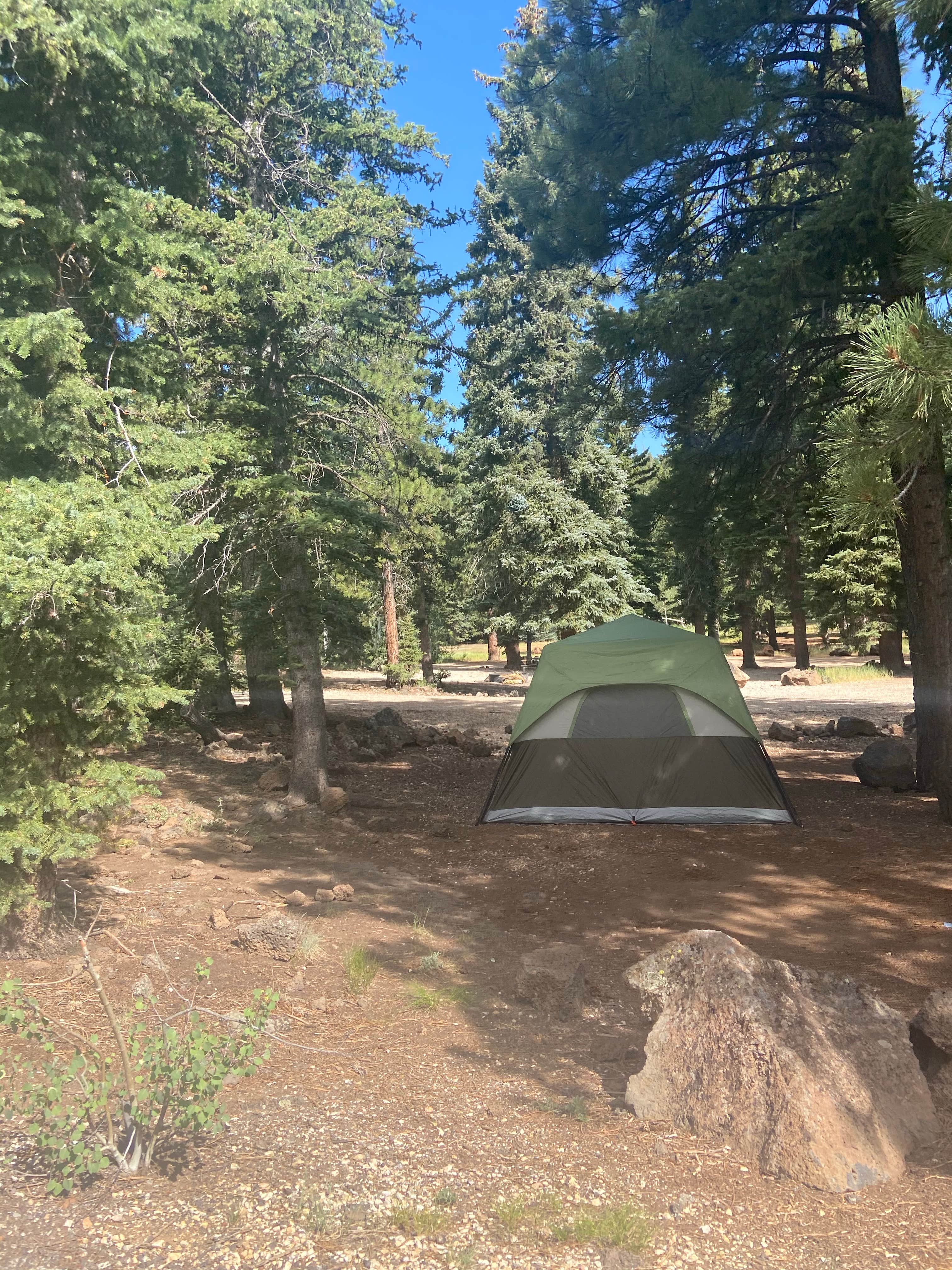 Marisa P.'s photo at Duck Creek near Duck Creek Village, UT