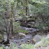 Review photo of Cedar Creek Campground - PERMANENTLY CLOSED by Raul P., July 7, 2016