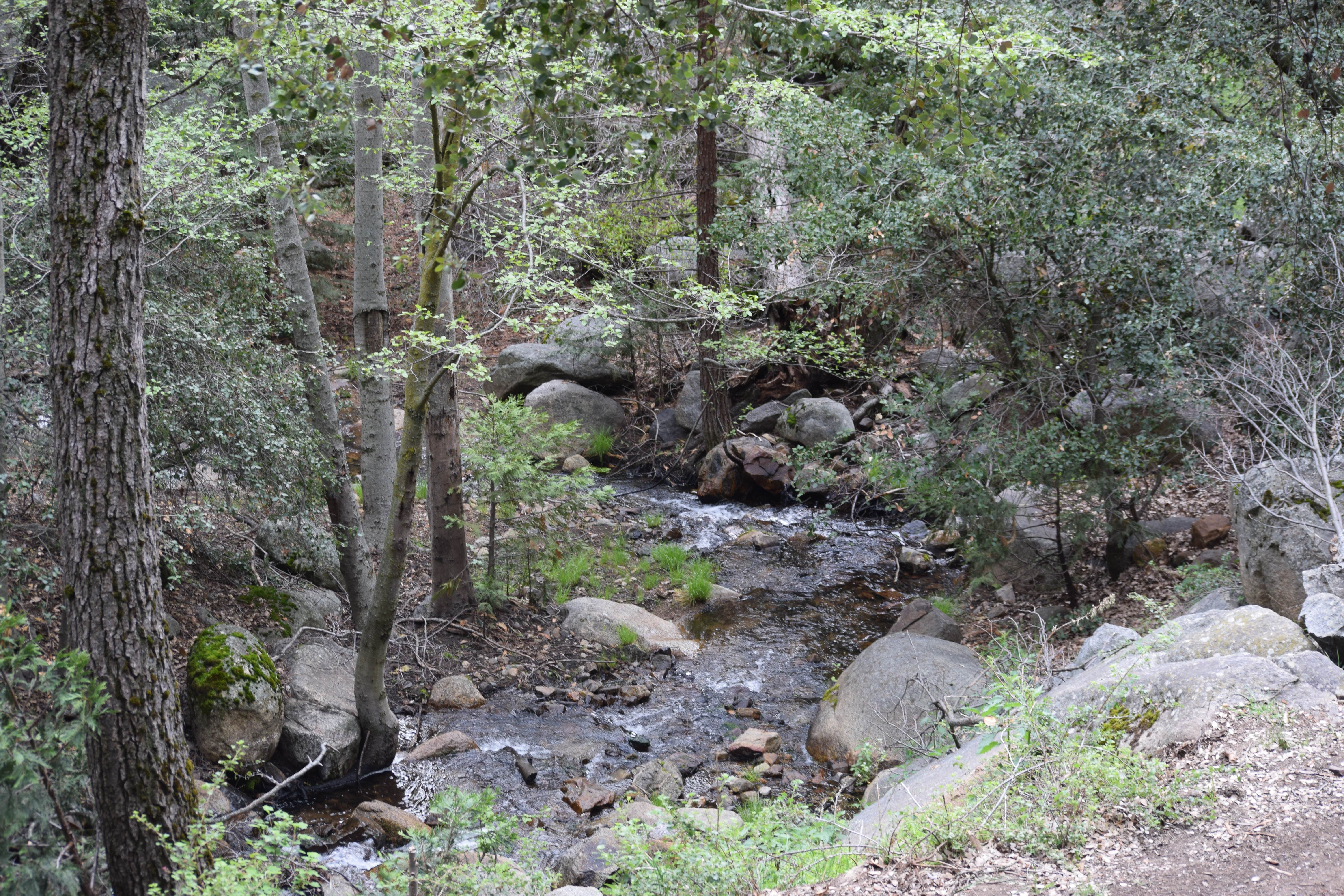 Camper submitted image from Cedar Creek Campground - PERMANENTLY CLOSED - 3