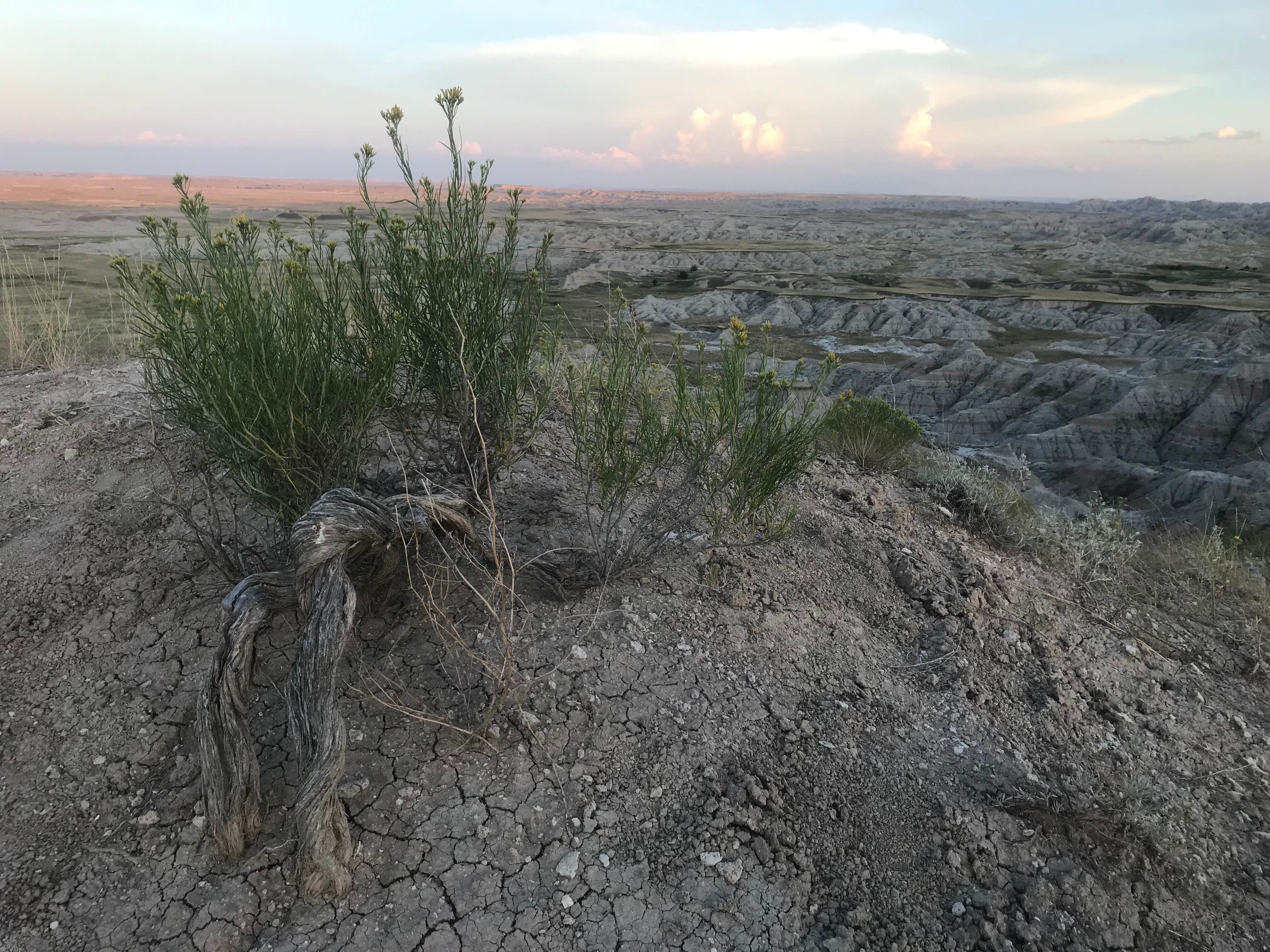 Buffalo Gap Dispersed Camping
