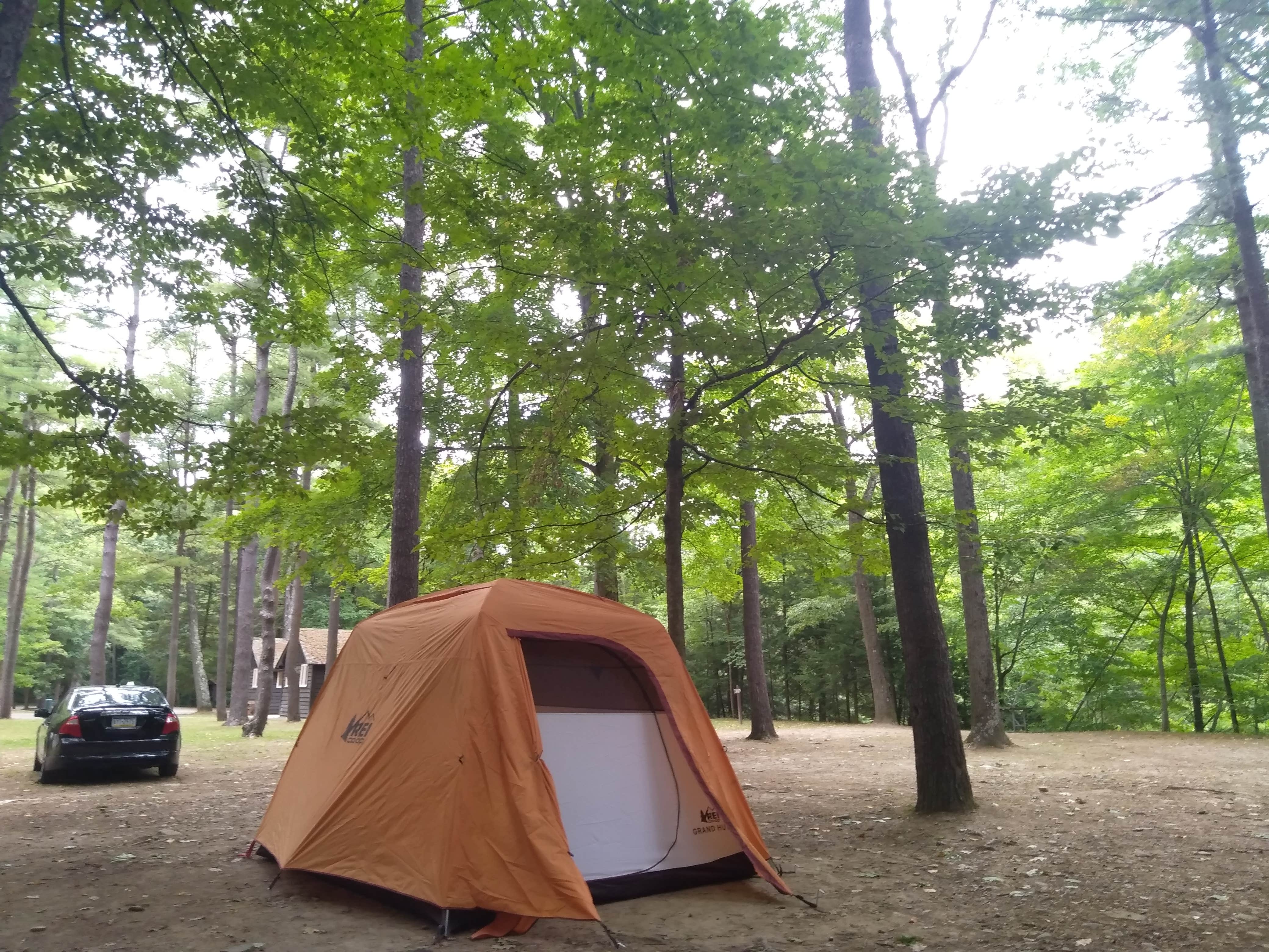Michael B.'s photo at Stony Brook State Park Campground near Lima, NY