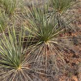 Review photo of Juniper Campground — Palo Duro Canyon State Park by Phil W., September 3, 2020