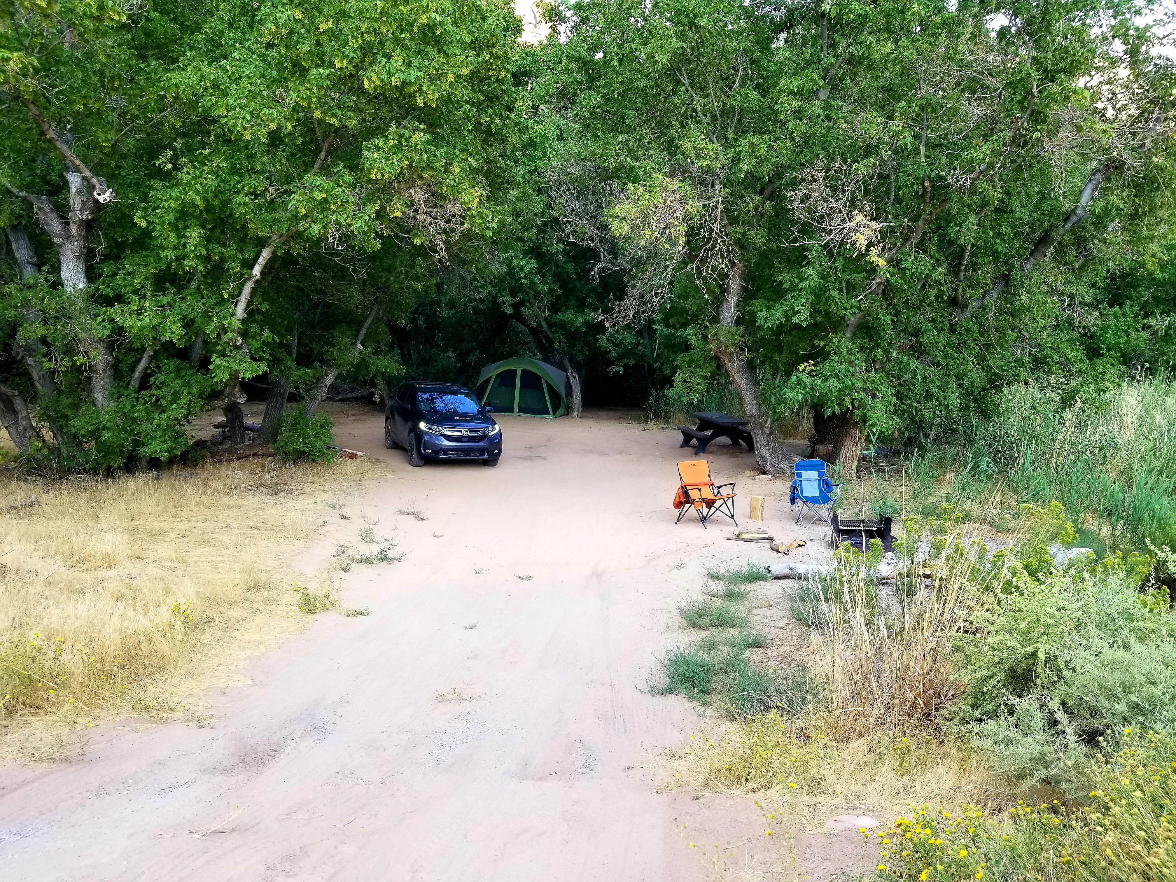 Camper submitted image from Steamboat Rock Campground - 3