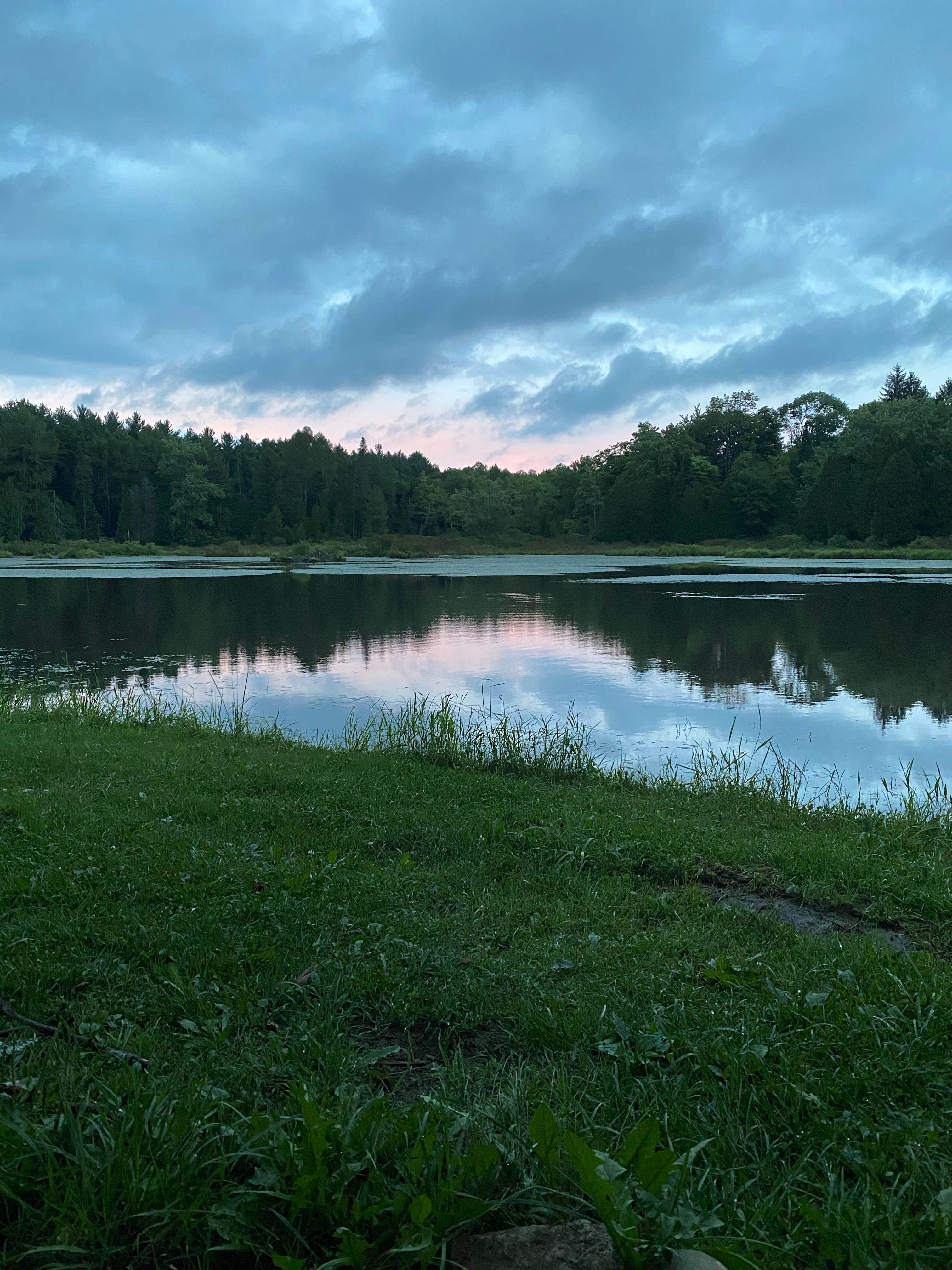 Matt M.'s photo of a dispersed camping area at Palmers Pond State Forest near Nunda, NY